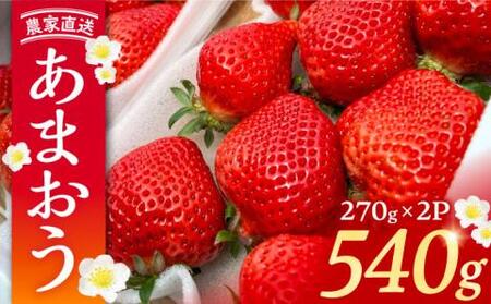 【先行予約】【2月-4月発送】農家直送 あまおう 540g(270g以上×2P) 土耕栽培[VAB014]果物 いちご