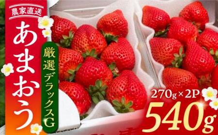 【先行予約】【2月-4月発送】農家直送 あまおう 厳選デラックスG 540g(270g以上×2P) 土耕栽培[VAB015]