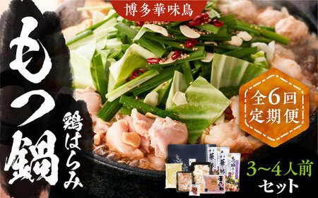 【全6回定期便】博多華味鳥 博多もつ鍋 鶏はらみ セット 3~4人前 [VAC016]博多 福岡 鍋 鶏 もつ もつ鍋