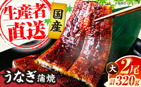 国産うなぎ 蒲焼 大2尾 320g うなぎ VAD002
