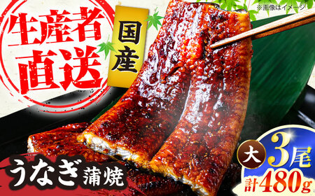 国産うなぎ蒲焼 鰻大3尾 480g[VAD003] 鰻