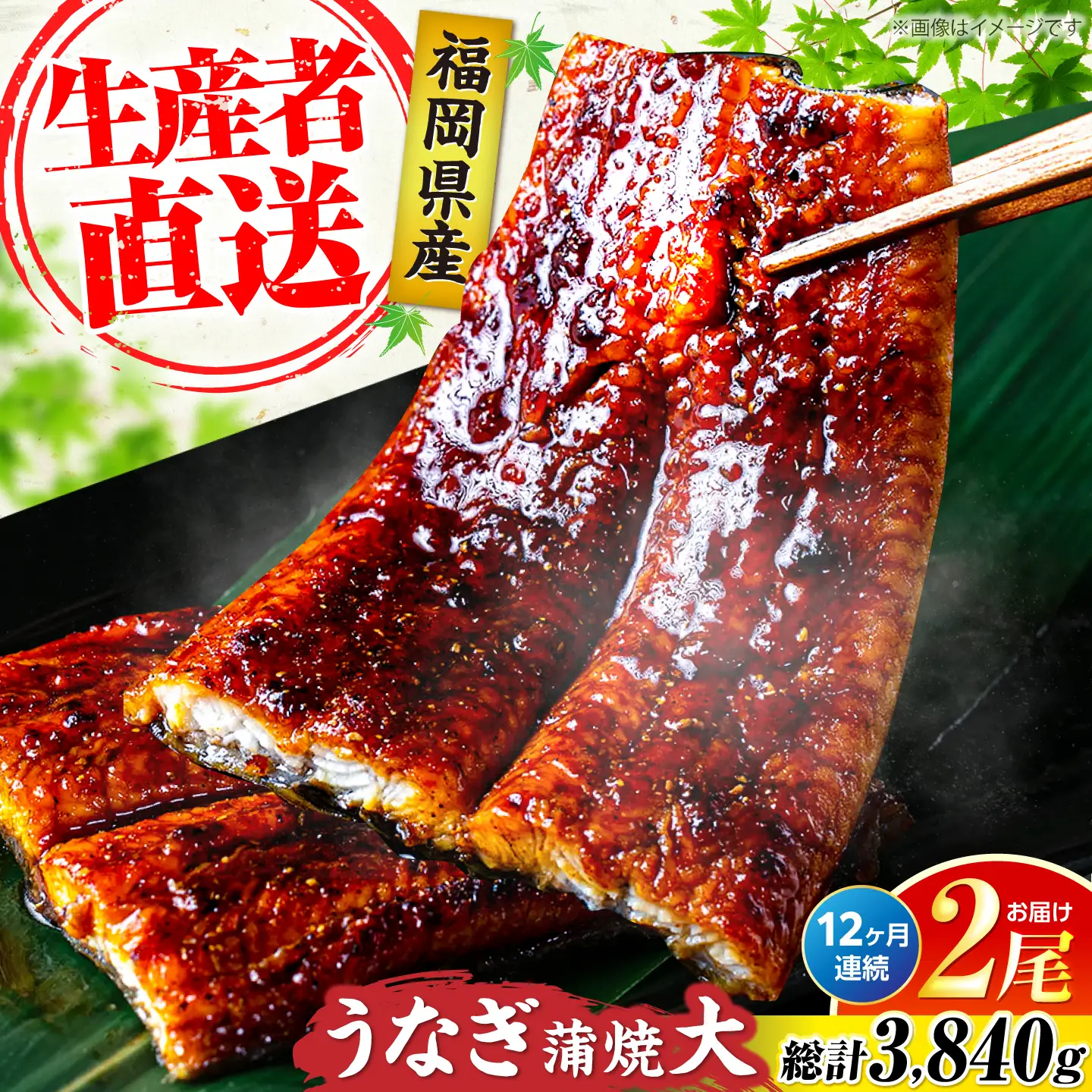 【全12回定期便】福岡県産 うなぎ 蒲焼 大2尾 計320g [VAD013] 国産 うなぎ