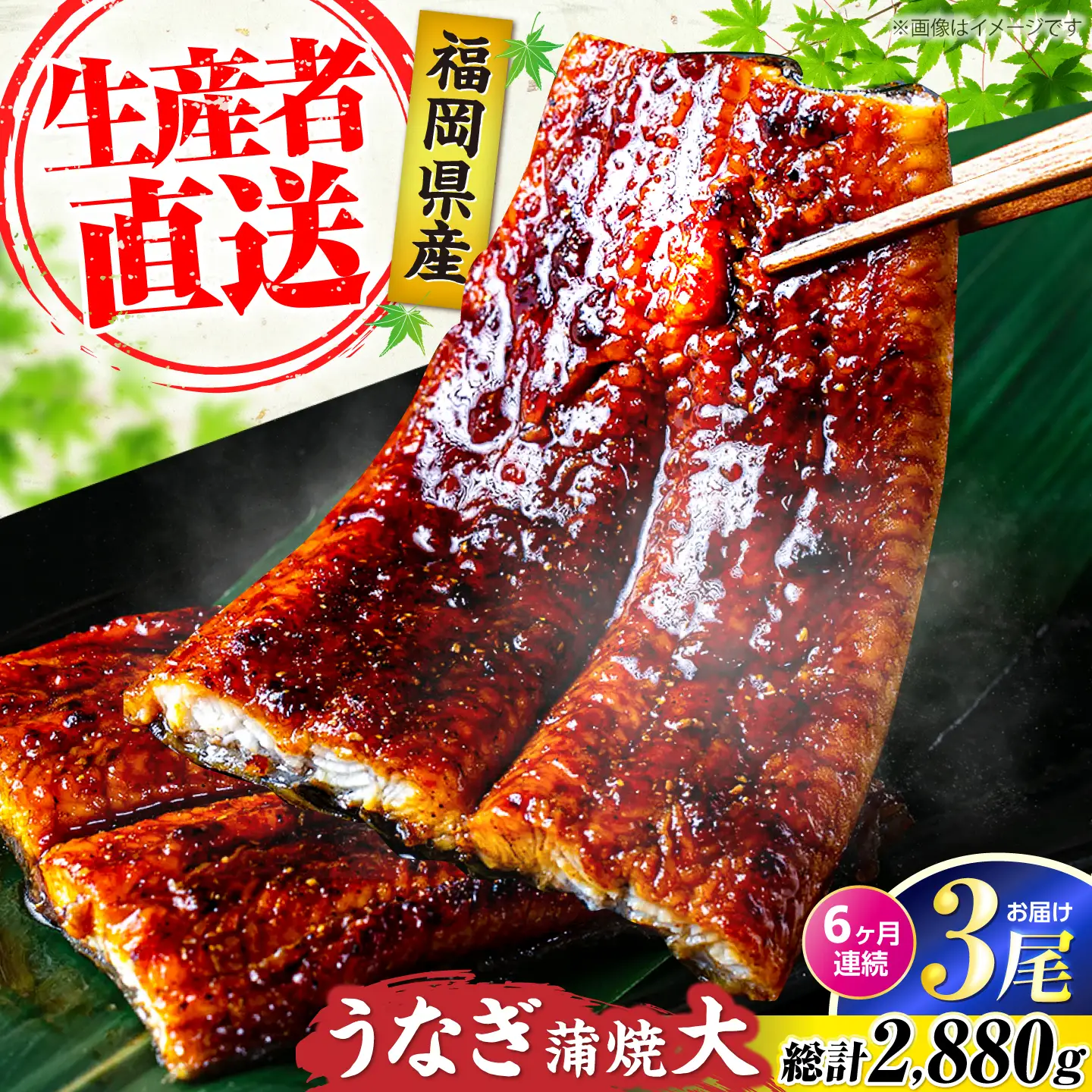 【全6回定期便】福岡県産 うなぎ 蒲焼 大3尾 合計 480 g（1尾あたり 160g以上）[VAD015] 国産 うなぎ