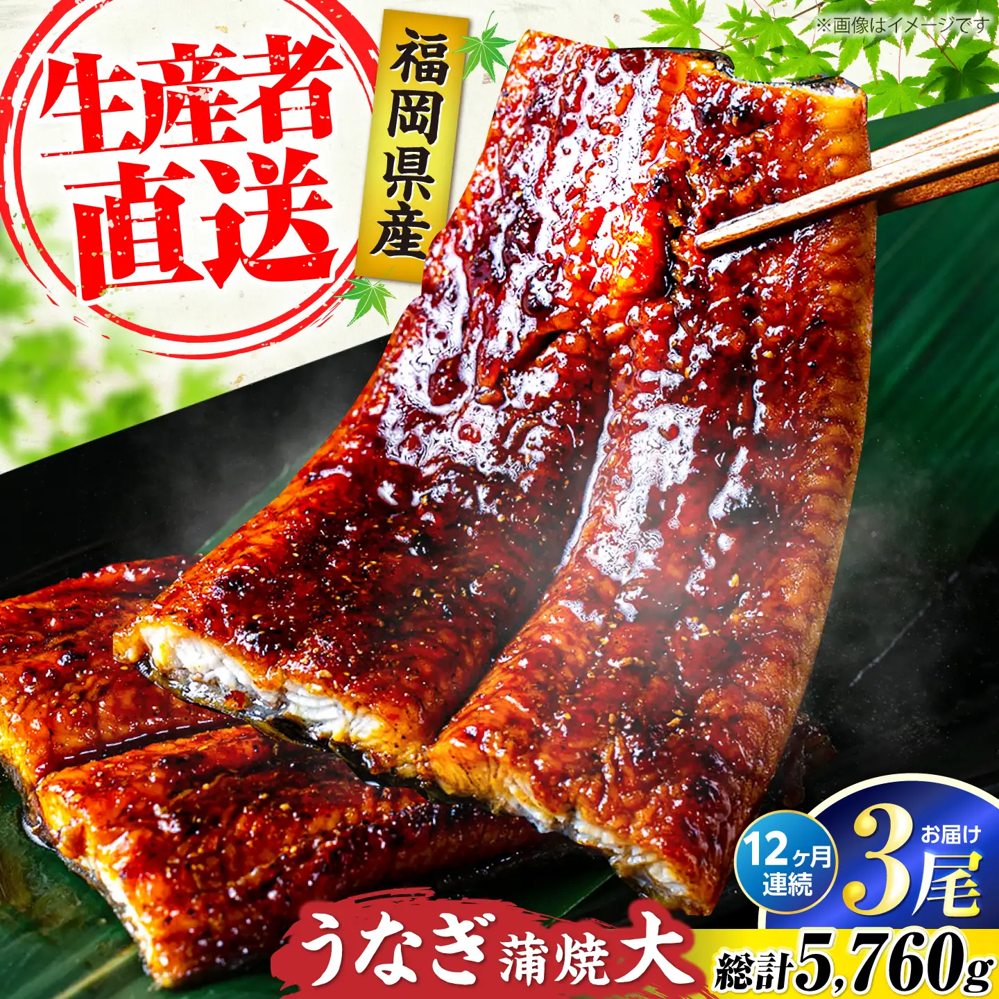 【全12回定期便】福岡県産 うなぎ 蒲焼 大3尾 合計 480 g（1尾あたり 160g以上）[VAD016] 国産 うなぎ