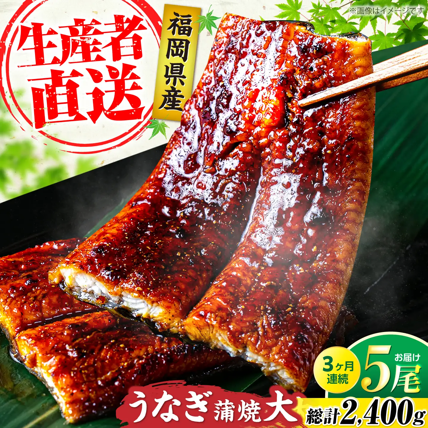 【全3回定期便】福岡県産 うなぎ 蒲焼 大5尾 合計 800 g（1尾あたり 160g以上）[VAD017] 国産 うなぎ