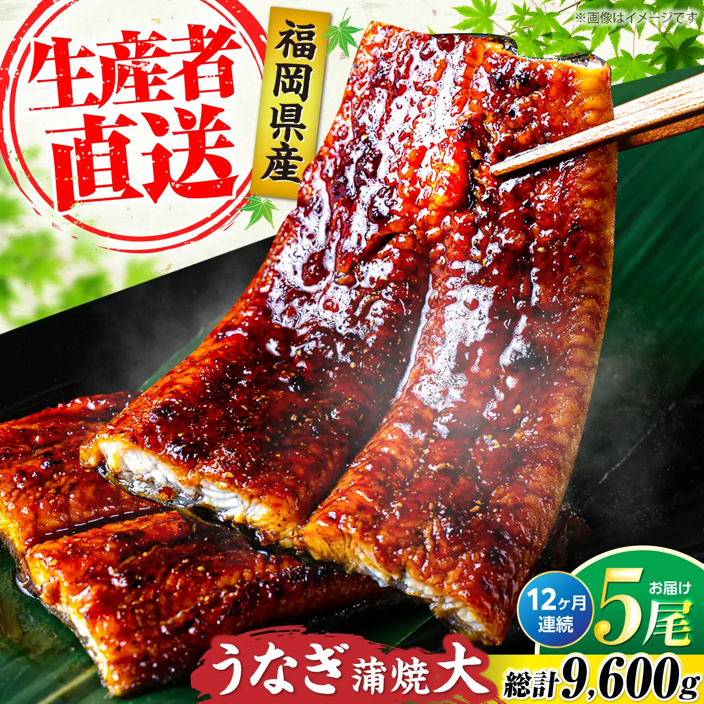 【全12回定期便】福岡県産 うなぎ 蒲焼 大5尾 合計 800 g（1尾あたり 160g以上）[VAD019] 国産 うなぎ