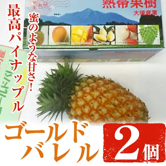 ゴールドバレル(パイナップル) 2個(約1kg×2個・計約2kg) 鹿児島県産 果物 フルーツ【大徳産業】A108-v01