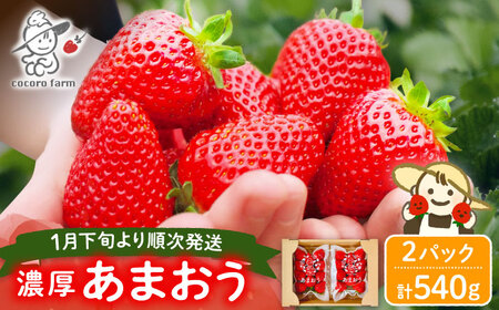 【先行予約】ココロファームの濃厚あまおう 270g×2パック[VAE007]あまおう