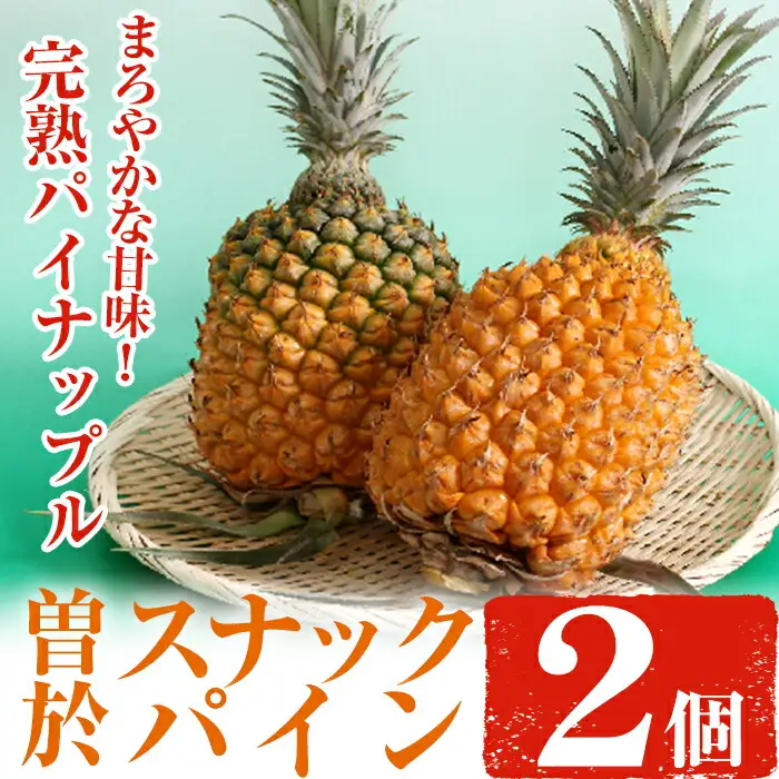 【数量限定】完熟パイナップル 曽於スナックパイン 計2個(1個・約800g～1.2kg) 鹿児島県産 果物 フルーツ【大徳産業】A107-v01