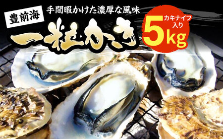 【先行予約】豊前海一粒かき 5kg+かきナイフ付き [VAG010] 牡蠣