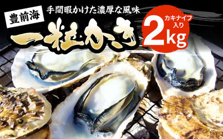 【先行予約】豊前海一粒かき 2kg+かきナイフ付き[VAG013] 牡蠣