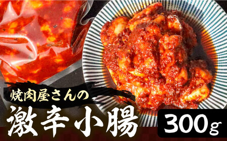 焼肉屋さんの超人気鉄板メニュー 激辛小腸肉 焼肉 お肉 BBQ バーベキュー [VAH041]