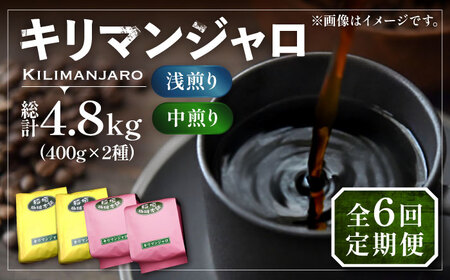 【全6回定期便】キリマンジャロ コーヒー 2種 ( 浅煎り フルーツフレーバー ＆ 中煎り チョコレートフレーバー )[VAS192]珈琲 コーヒー 