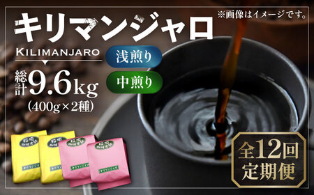 【全12回定期便】キリマンジャロ コーヒー 2種 ( 浅煎り フルーツフレーバー ＆ 中煎り チョコレートフレーバー )[VAS193]珈琲 コーヒー 