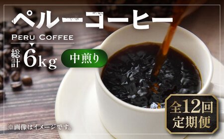 【全12回定期便】ペルー コーヒー 中煎り 250g×2[VAS211]珈琲 コーヒー 有機