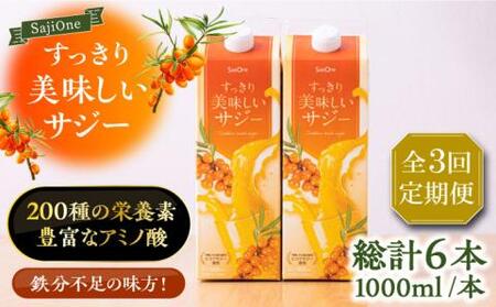 【全3回定期便】すっきり美味しいサジー 2本 [VAX036] サジージュース