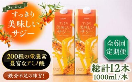 【全6回定期便】すっきり美味しいサジー 2本 [VAX039] サジージュース