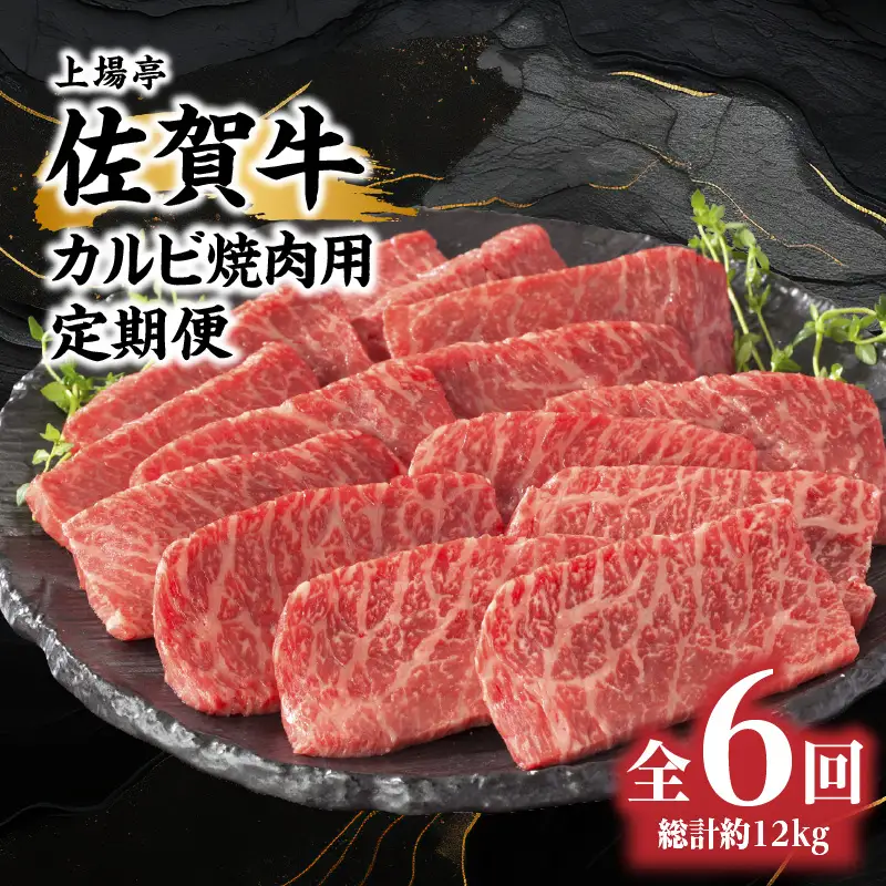 佐賀牛カルビ焼肉用 定期便 約500g×4パック（6回）｜牛肉定期便【Z107】