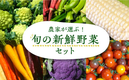 農家が選ぶ！ 旬の新鮮野菜セット[VBE002]産直 野菜 やさい 詰め合わせ