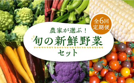【全6回定期便】農家が選ぶ！ 旬の新鮮野菜セット[VBE009]産直 野菜 やさい 詰め合わせ