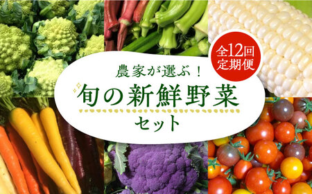 【全12回定期便】農家が選ぶ！ 旬の新鮮野菜セット[VBE010]産直 野菜 やさい 詰め合わせ