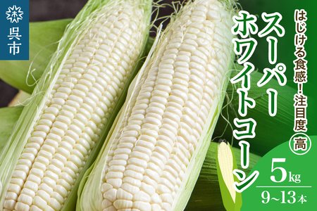 洋菓子素材工房ぴゅあハウス 【品種 スーパーホワイトコーン】白色 とうもろこし 箱込み 約5kg 9本～13本≪6月中旬ごろより順次発送開始≫ キャンプ飯 BBQ 生 野菜 冷蔵発送 送料無料 広島県 呉市 ku156-005-r