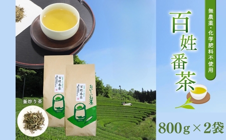 無農薬・化学肥料不使用　百姓番茶（釜炒り茶）２袋セット
