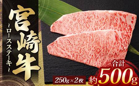 宮崎牛ロースステーキ　２枚（計　５００ｇ）