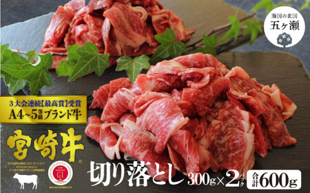 宮崎牛　切り落とし　６００ｇ（３００ｇ×２）