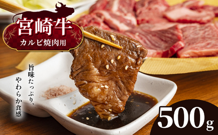 宮崎牛　カルビ焼肉　５００ｇ