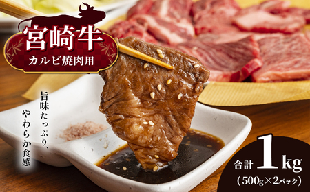 宮崎牛　カルビ焼肉　合計１ｋｇ
