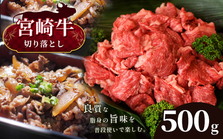 宮崎牛　切り落とし　５００g　