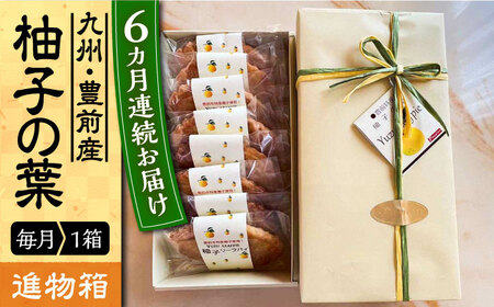 【全6回定期便】【進物箱】柚子の葉 8枚入り[VBU018]ギフト 贈り物 和菓子