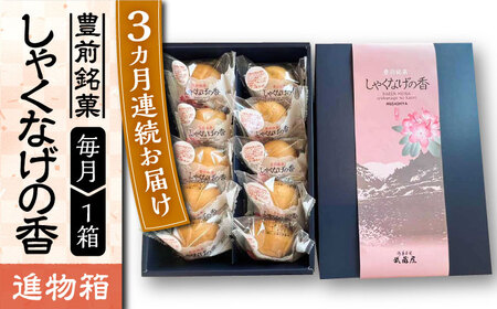 【全3回定期便】【進物箱】しゃくなげの香 10個入り[VBU020]ギフト 贈り物 和菓子