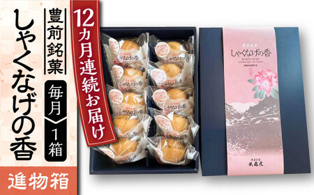 【全12回定期便】【進物箱】しゃくなげの香 10個入り[VBU022]ギフト 贈り物 和菓子