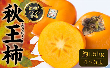 【先行予約】秋王 ( あきおう ) 柿 1.5kg 箱 (4-6玉)[VBY006] 柿