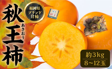 【先行予約】秋王 ( あきおう ) 柿 3kg 箱 (8-12玉)[VBY007] 柿