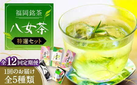 【全12回定期便】福岡銘茶八女茶 特選セット5種 合計550g 老舗製茶店 [VCL125]