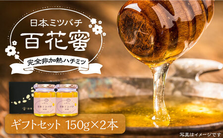 日本ミツバチの蜂蜜(ギフトセット150g×2本)[VCM001] 蜂蜜 はちみつ ハチミツ