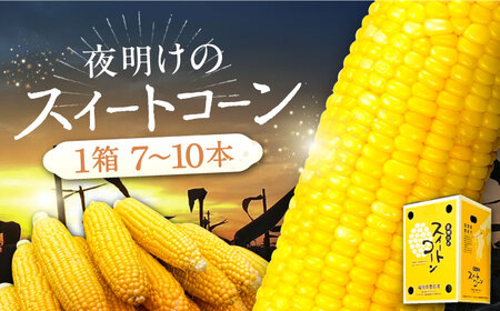 【先行予約】夜明けのスイートコーン 4kg×1箱 7-10本 [VCO001] コーン とうもろこし