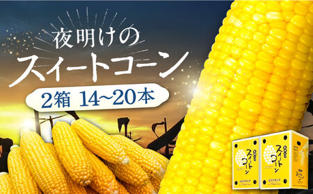【先行予約】夜明けのスイートコーン 4kg×2箱 14-20本 [VCO002] コーン とうもろこし
