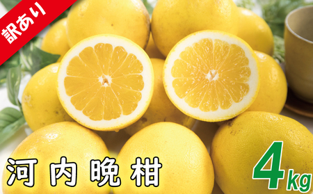 【順次発送中】 訳あり 河内晩柑 サイズ不揃い 約4kg 【VEG0291】