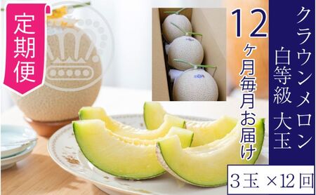 【12ヶ月定期便】クラウンメロン【並（白等級）】大玉（1.4kg前後）3玉入り 