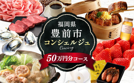 【あなただけの特別プラン】豊前市 コンシェルジュ 寄附額 50万円 コース おすすめ おまかせ 定期便 [VZZ001]