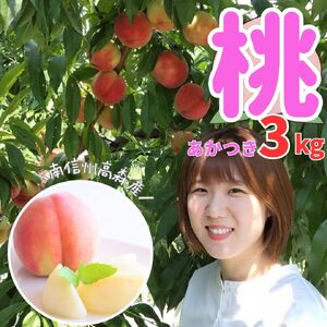桃 あかつき 3kg（7～10個）＜2026年7月下旬より発送＞