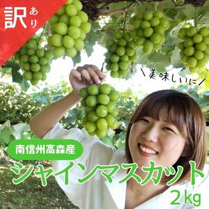 シャインマスカット 訳あり２kg（３～６房）＜9月下旬より発送＞