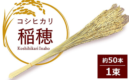 コシヒカリの稲穂 飾り素材 インテリア用[Y0004]