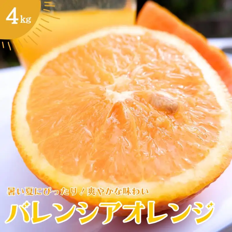 バレンシアオレンジ 4㎏ 【2026年7月中旬頃より順次発送】 / みかん ミカン 蜜柑 バレンシアオレンジ オレンジ 和歌山 田辺市 紀州 くだもの 柑橘 フルーツ 【aoi009】