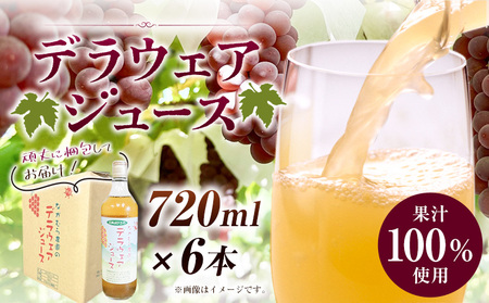 デラウェア ジュース 720ml 6本 有限会社なかむら農園《60日以内に出荷予定(土日祝除く)》大阪府 羽曳野市 ジュース 飲料品 ドリンク ぶどう ブドウ 葡萄 送料無料  羽曳野市産デラウェア 大阪府産デラウェアジュース デラウェアジュース