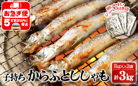 A1-1804／冷凍 子持ち からふとししゃも 3kg（1kg×3袋）